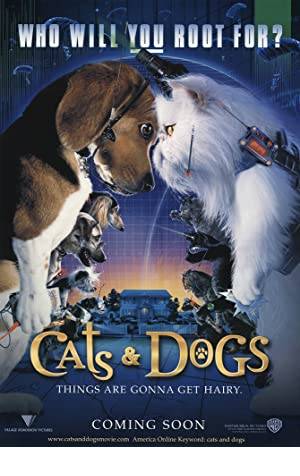 Cats & Dogs Poster Image
