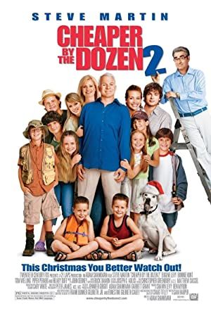 Cheaper by the Dozen 2 Poster Image