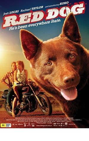 Red Dog Poster Image