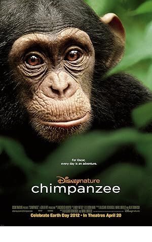 Chimpanzee Poster Image