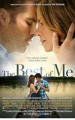 The Best of Me Poster Image