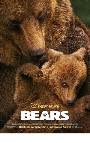 Bears Poster Image