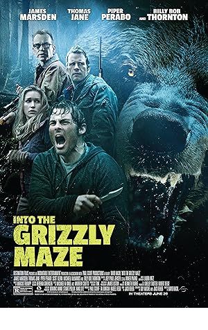 Into the Grizzly Maze Poster Image