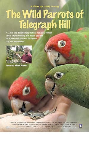 The Wild Parrots of Telegraph Hill Poster Image