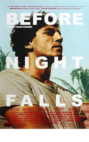 Before Night Falls Poster Image