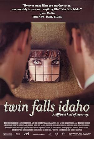 Twin Falls Idaho Poster Image