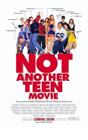 Not Another Teen Movie Poster Image